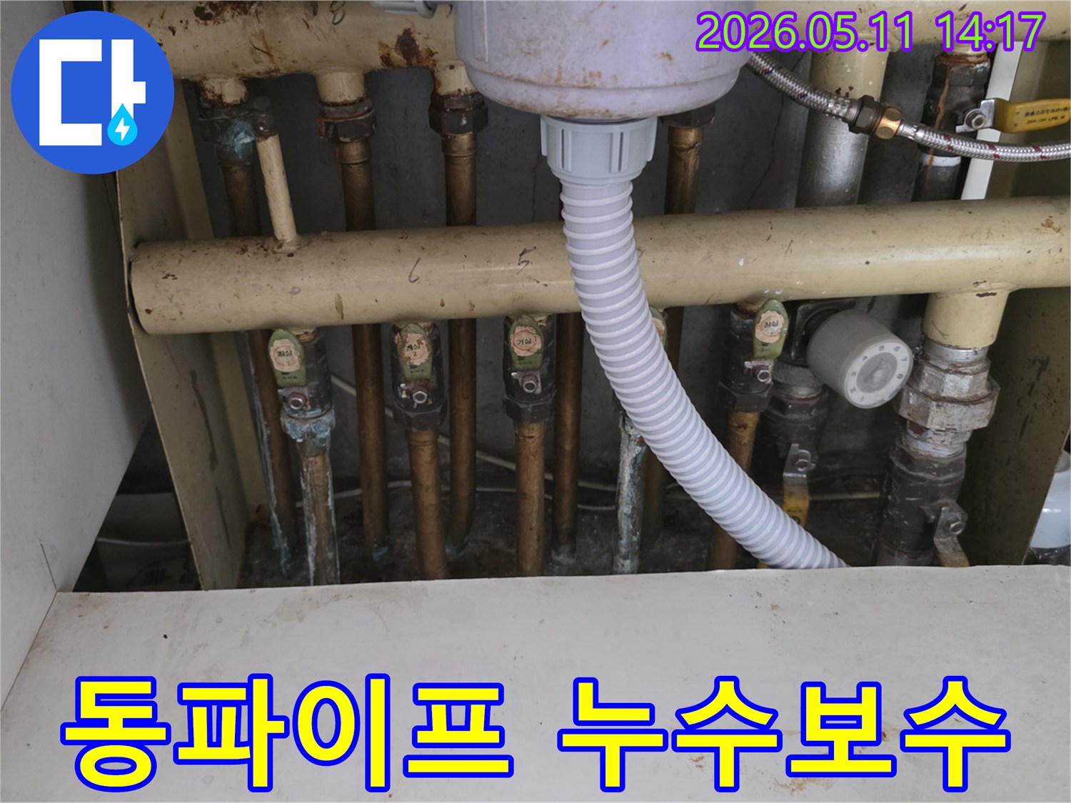 노원구-아파트-동파이프에서-발생한-누수를-전문적으로-보수하기-위한-점검-사진