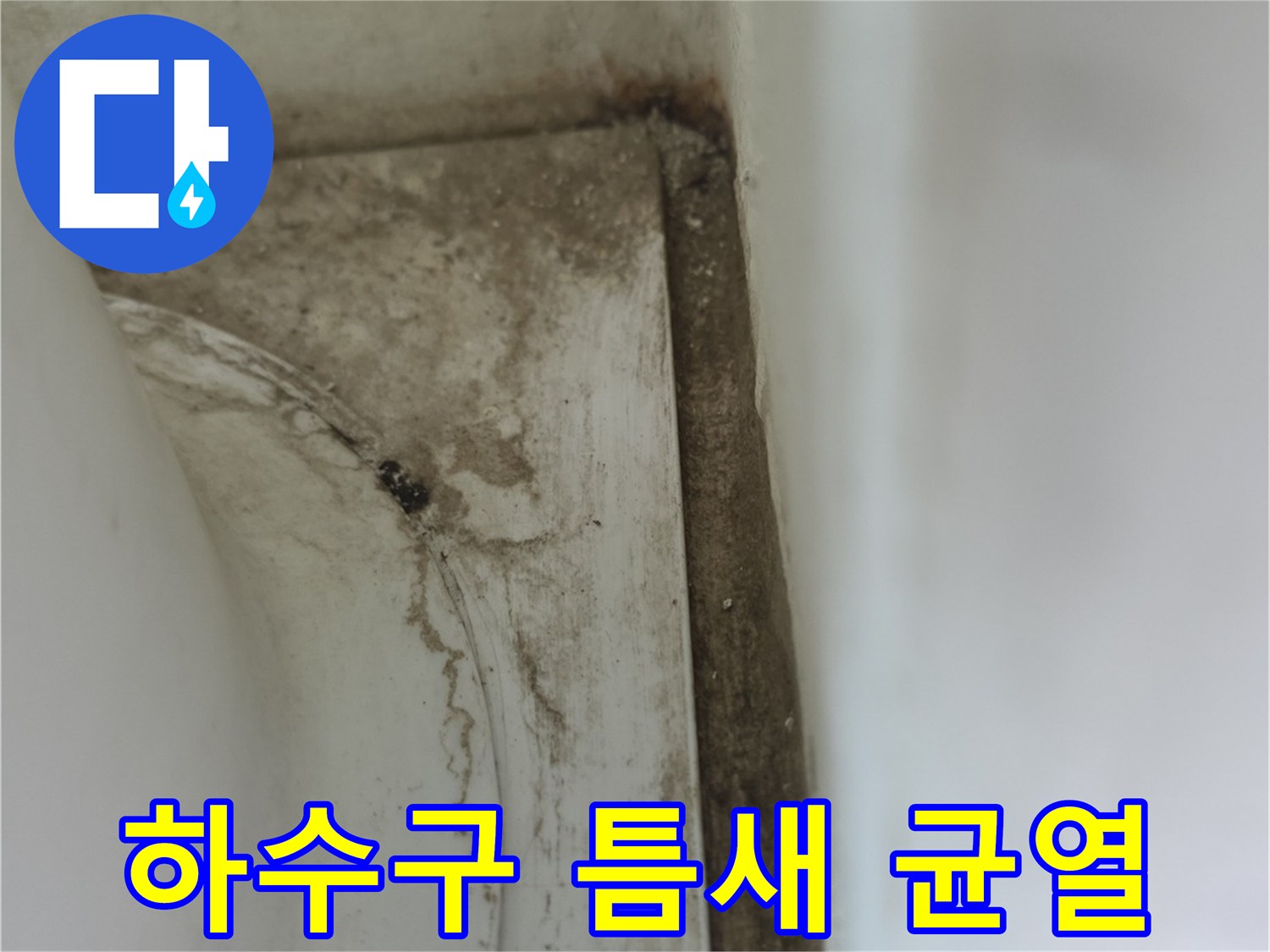 옥정동 현장-배수 파이프와 타일 접합부의 미세한 균열 상태