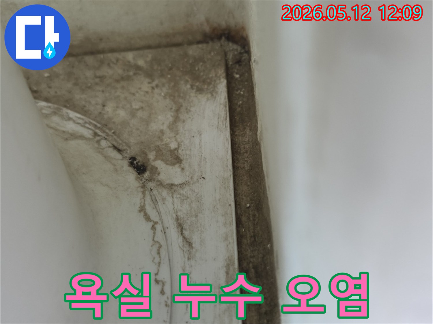 욕실-모서리-부분에-발생한-오래된-물샘-자국과-곰팡이로-인한-오염-현상