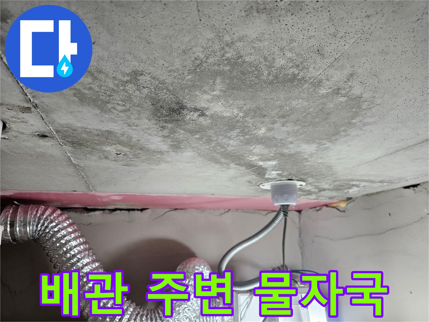 천장-배관-통로-주변의-젖은-흔적과-곰팡이