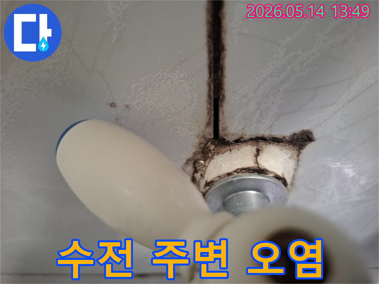 수전 손잡이 부근-타일 틈새에-짙게 자리 잡은-곰팡이와-물때로 인한-오염 상태