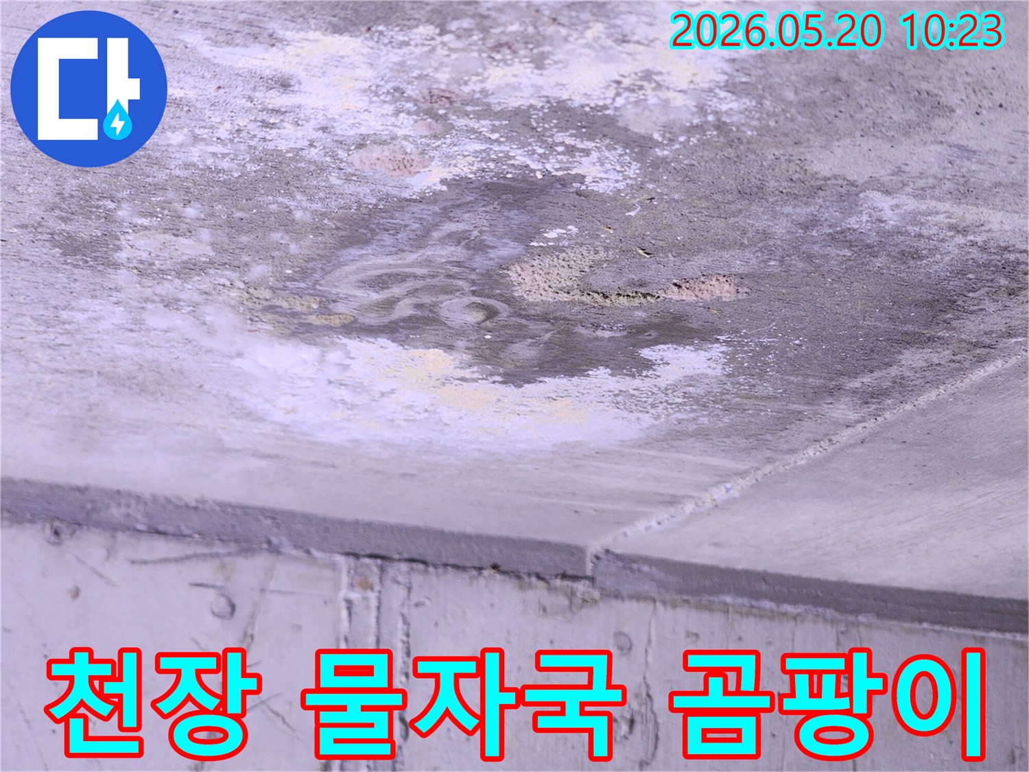 윗집에서-발생한-누수로-아랫집-천장에-얼룩과-곰팡이가-생긴-모습을-담은-사진입니다