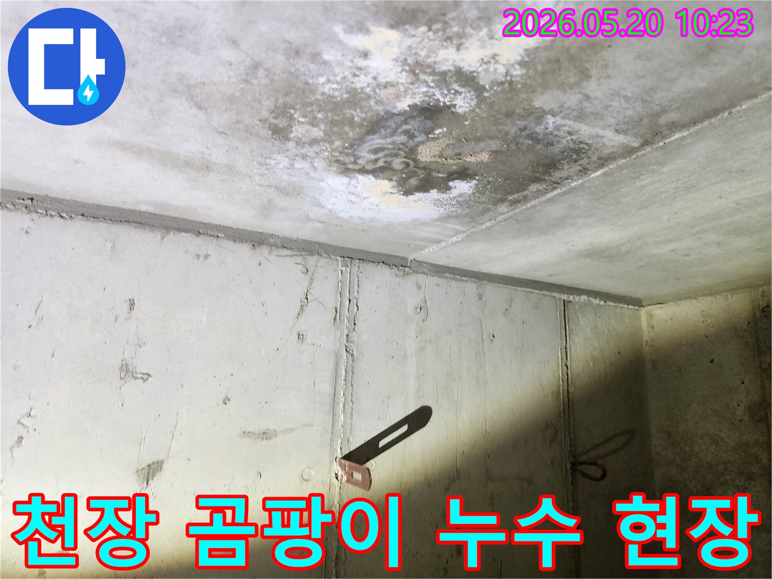 콘크리트 천장에 생긴 물자국과-곰팡이로 인한 손상된 표면