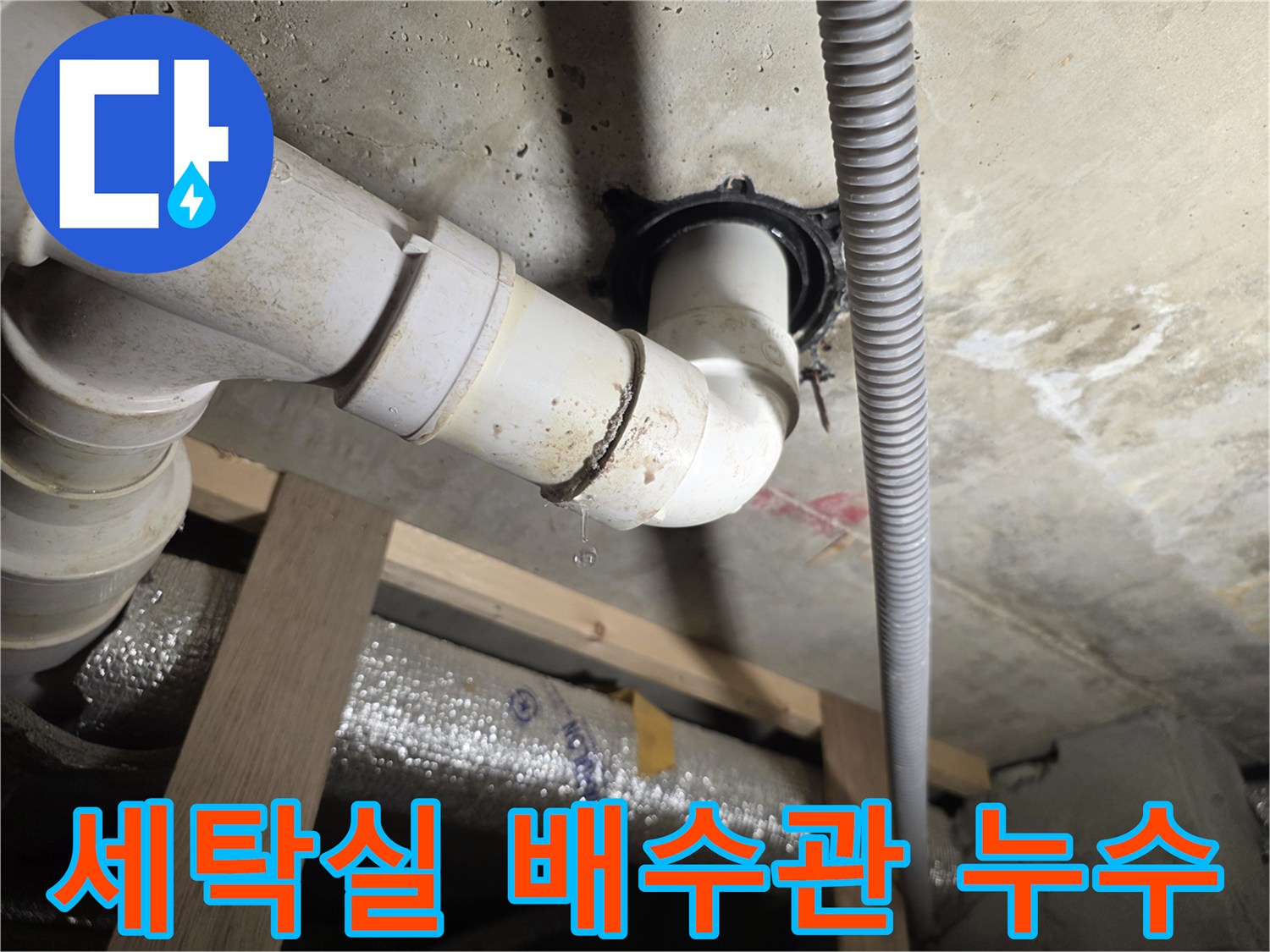 서대문구-세탁실-천장-배수관-연결부위-물샘-현상