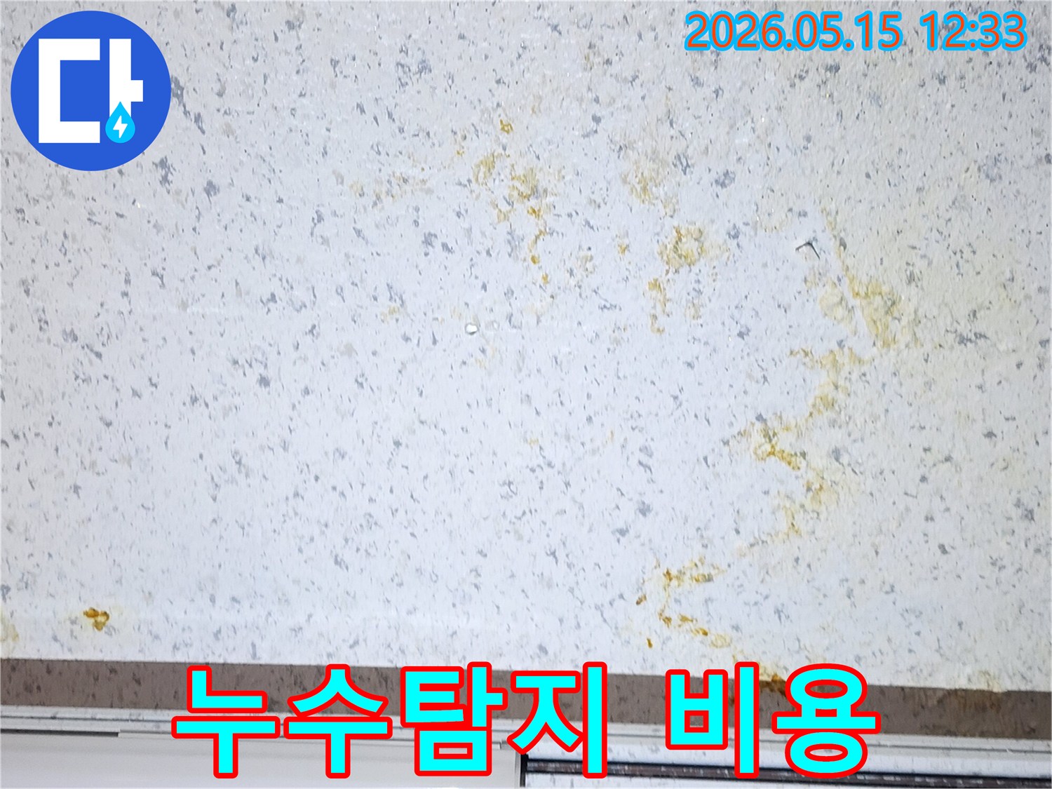 천장에서-물이-새는-누수-현장-정확한-누수-탐지-비용-견적-상담
