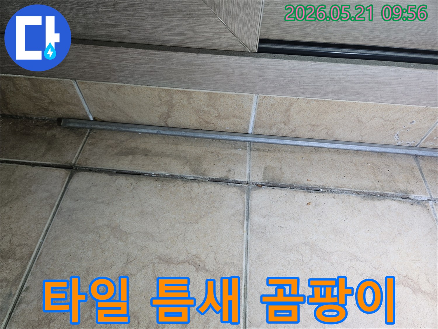 바닥-타일-틈새에-생긴-검은색-곰팡이를-보여주며-누수-가능성을-시사하는-현장-사진