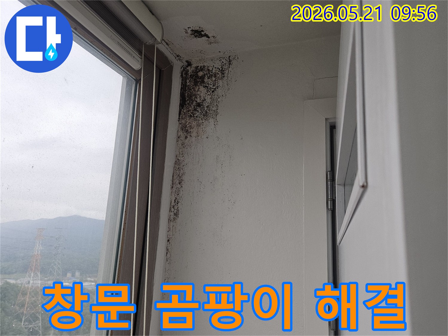 창문 상단 벽과 천장 모서리에 번식한-검은 곰팡이-습기-누수-피해 현장