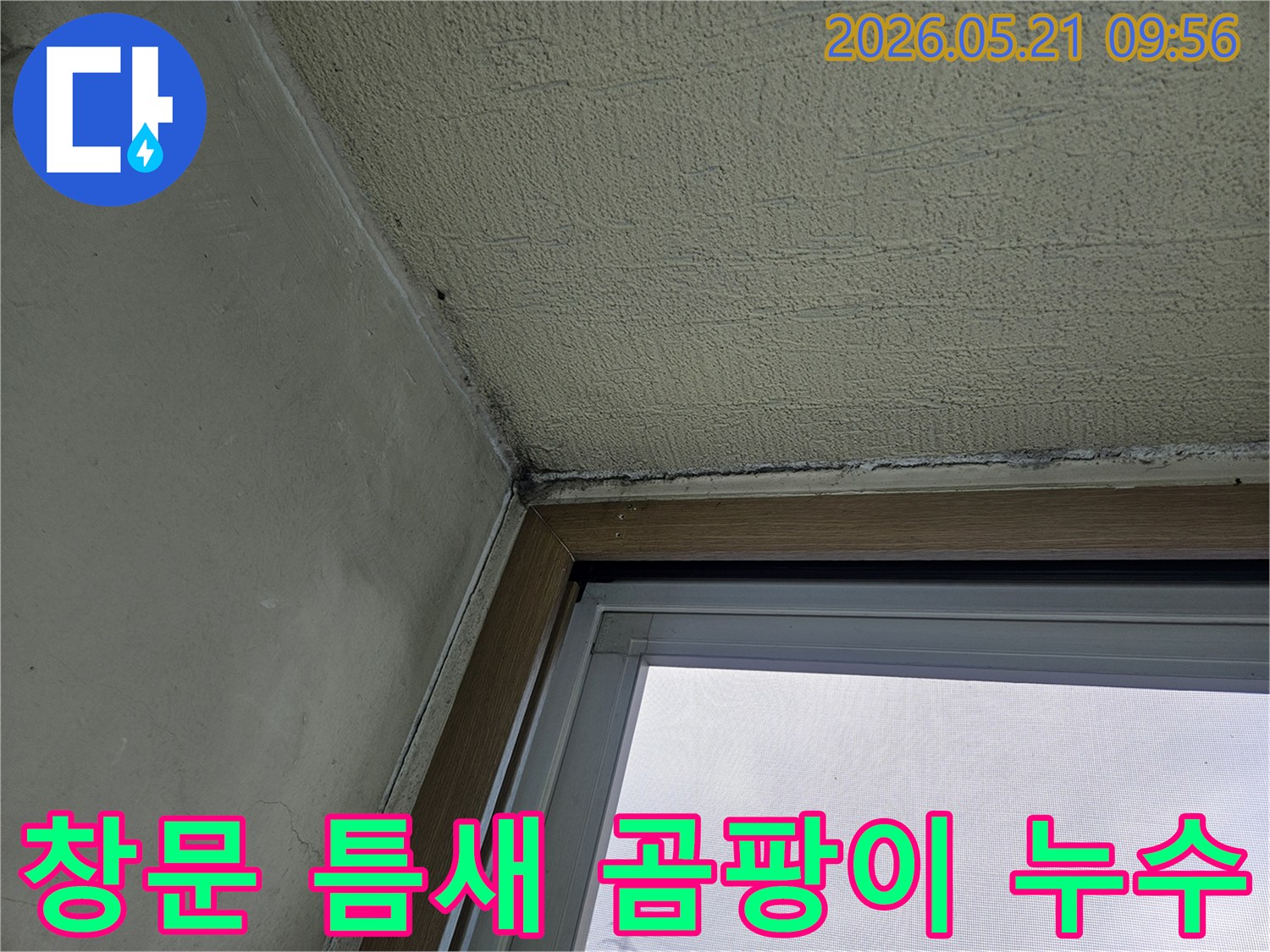 창문 틈새와 벽이 만나는 곳에-발생한 곰팡이와-물기로 인한 손상을 보여주는-아파트 내부 벽면
