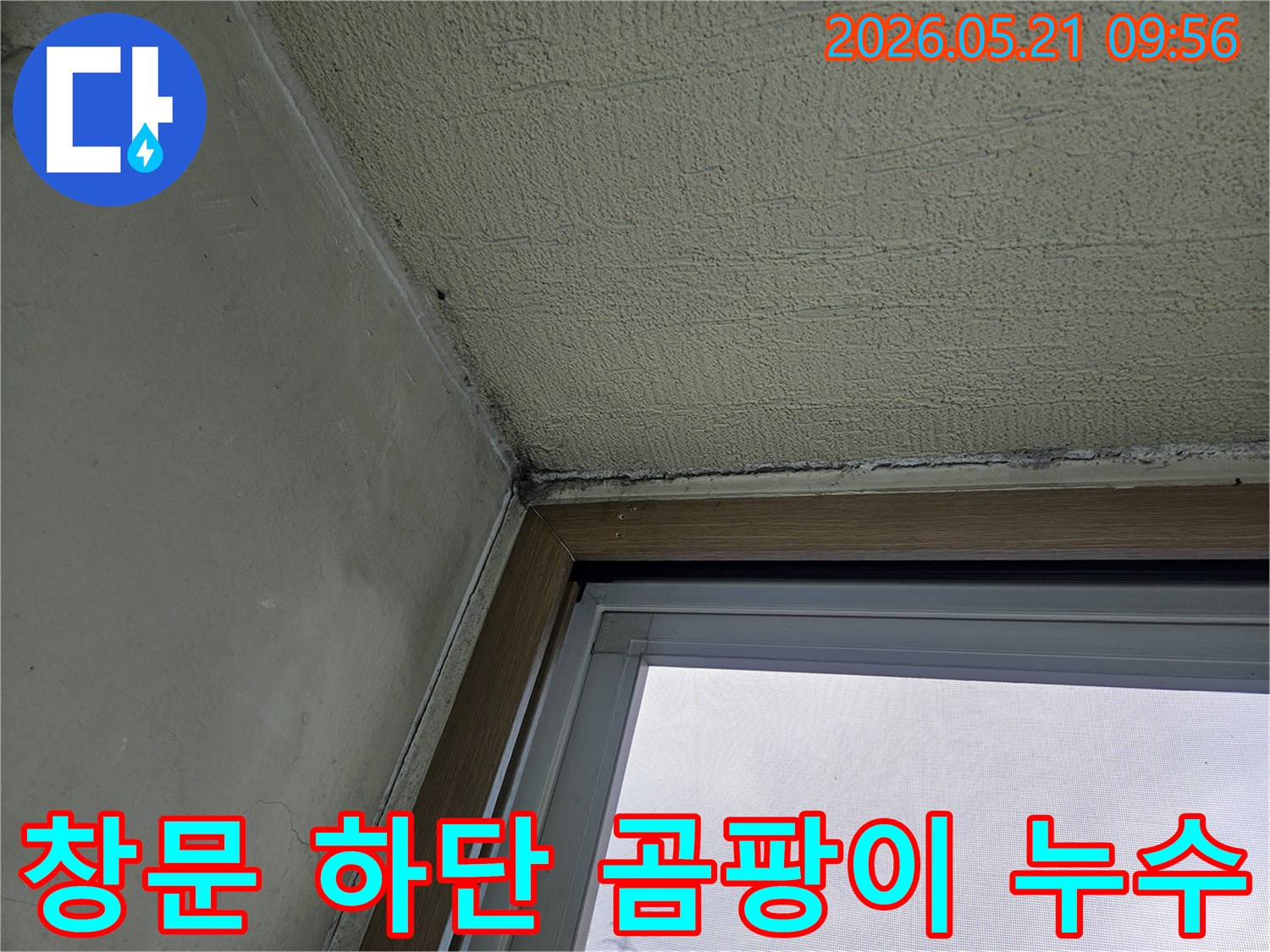 창문 하단 벽면에 발생한-검은 곰팡이와-물기로 인한 손상을 보여주는-아파트 내부 벽면의 모습