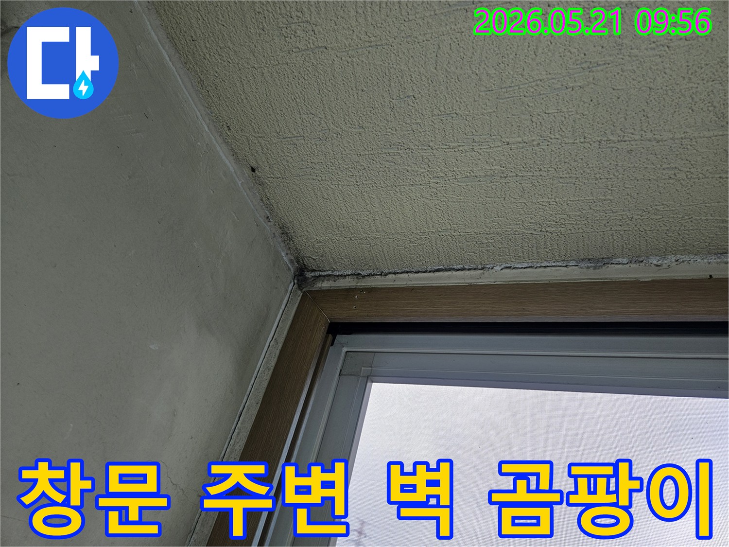 창문과 인접한 벽면에 발생한-곰팡이와-물기로 인한 손상을 보여주는-아파트 내부 벽의 모습