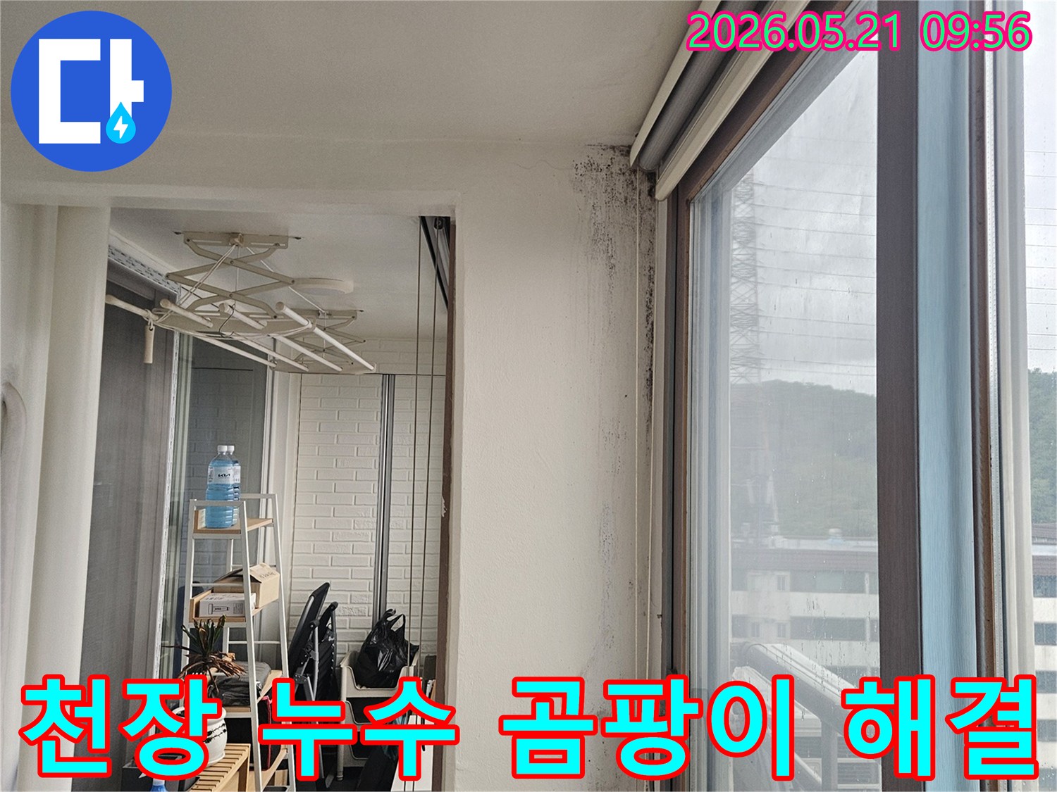 천장과 벽이 만나는 모서리에 천장 누수로 인한 검은 곰팡이와 물-자국이 심하게 발생한 모습으로-완벽한 해결이 시급합니다.