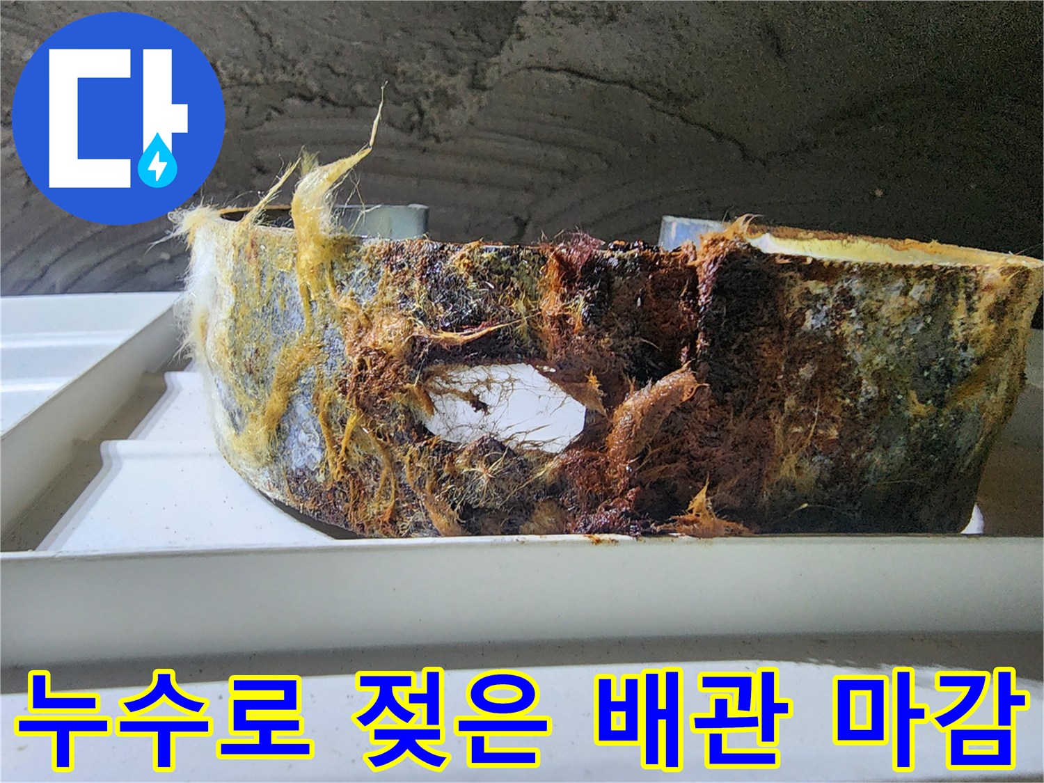 물샘으로 인해-손상된 배관 보온재 상태