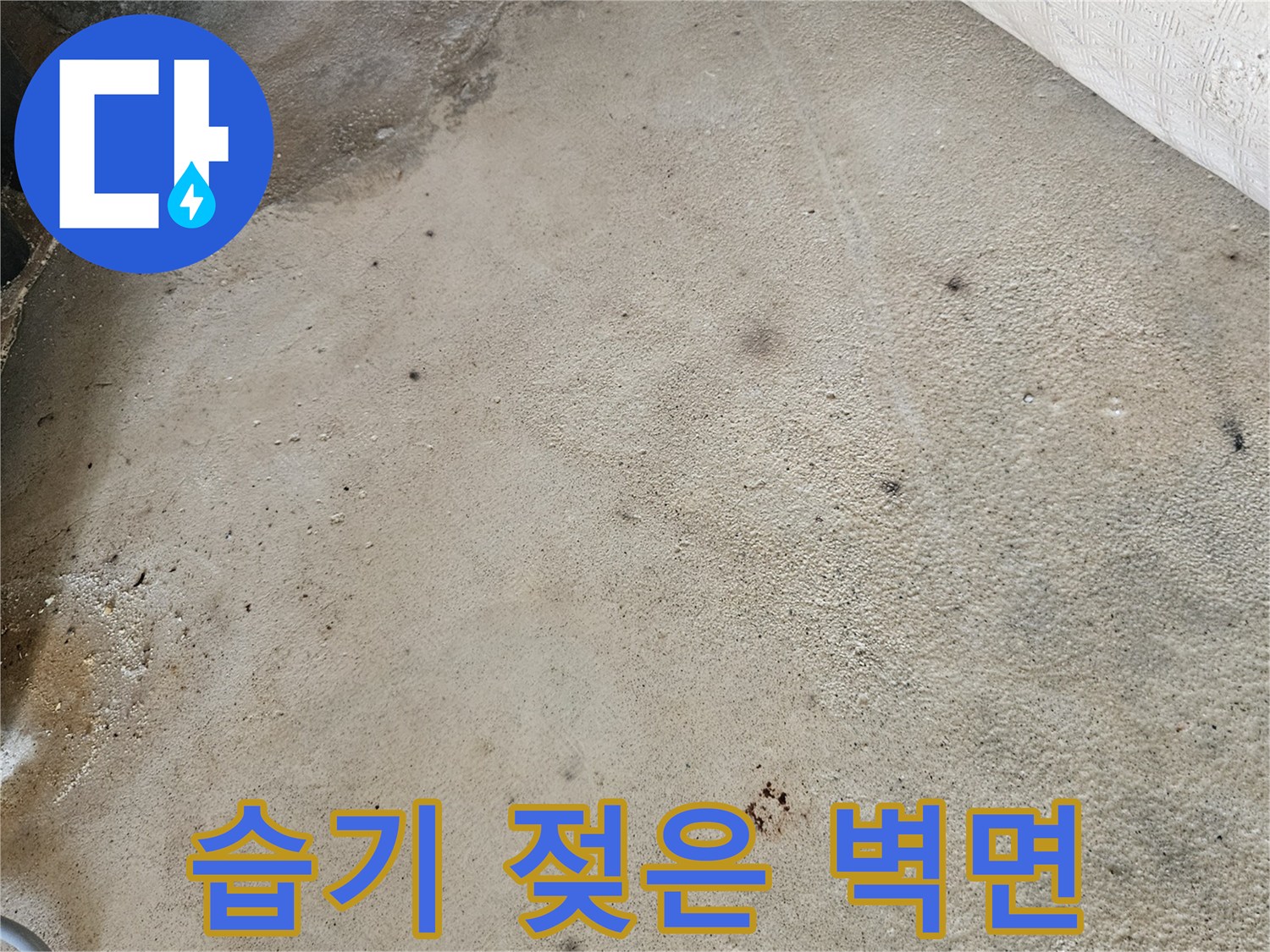 물샘 현상으로 인해 변색이 진행된 콘크리트 벽체 표면