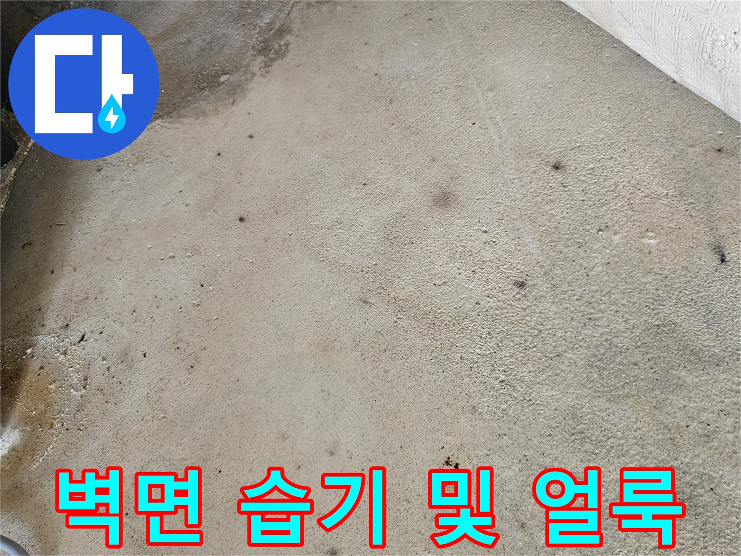 습기로 인해 어둡게 변색된 아파트 내부 벽체 사진