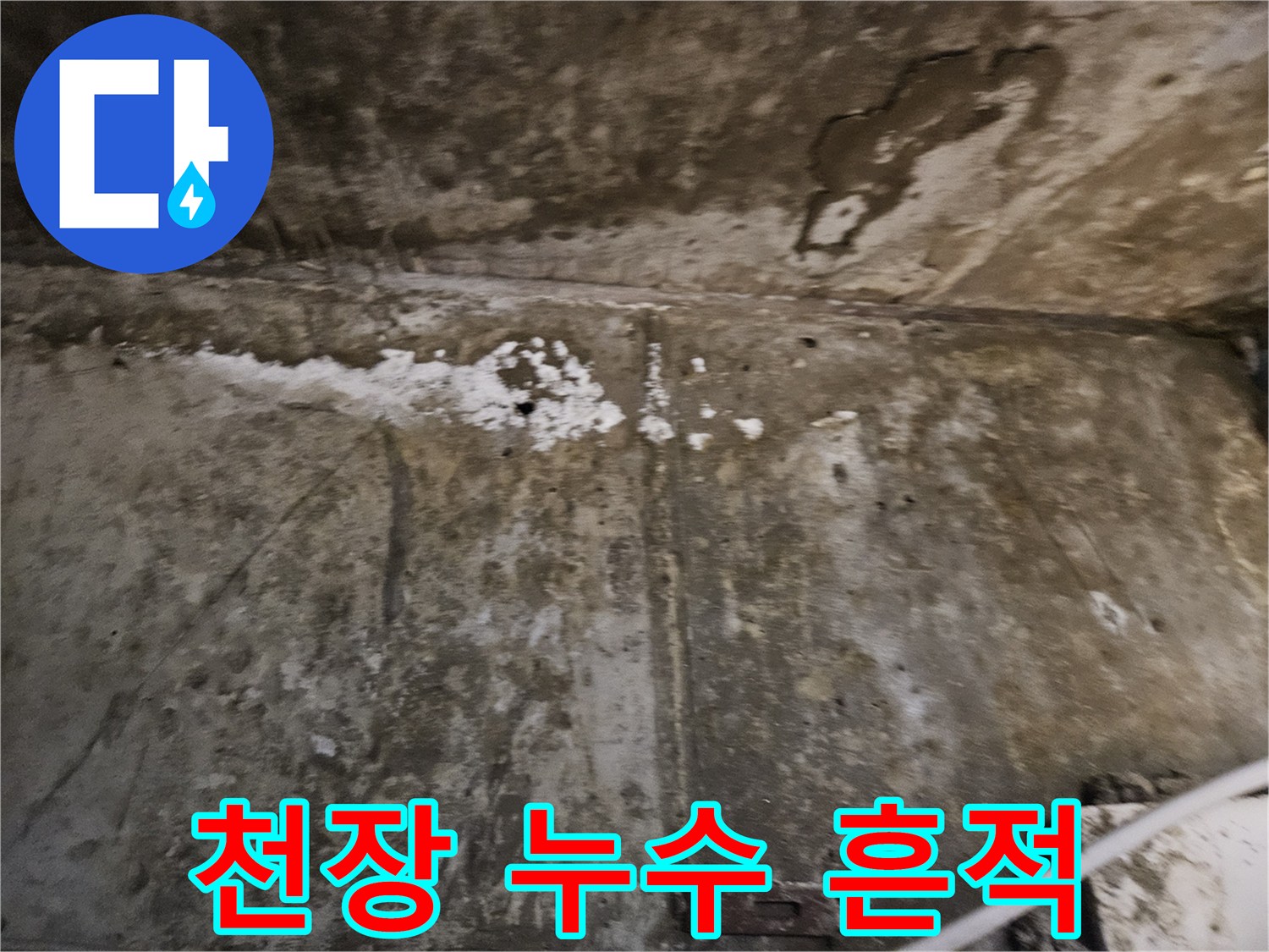 콘크리트 천장 부위의 심한 변색과 습기 흔적