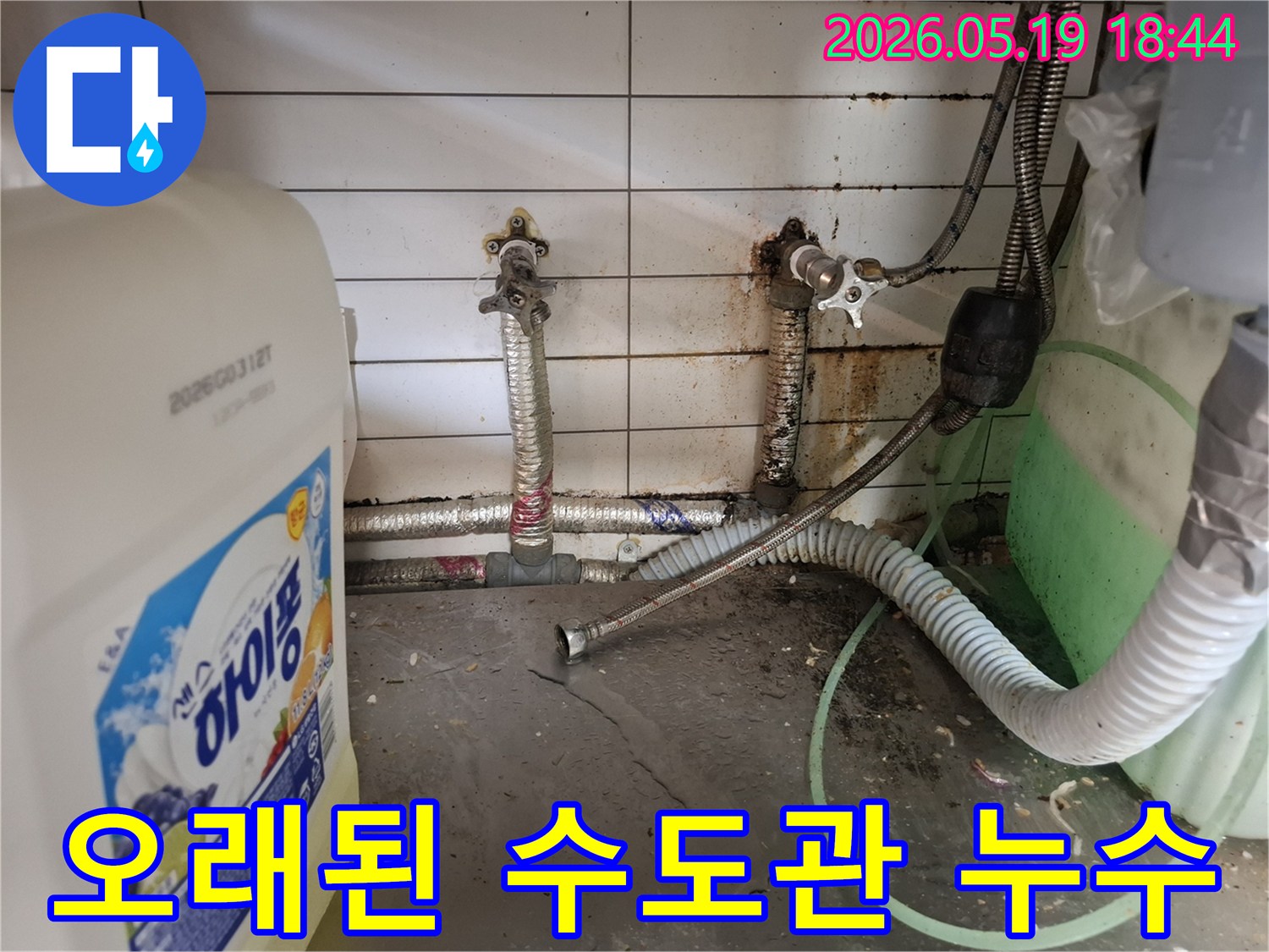 주방 하부장의-지저분한 환경과-함께 발견된-배관 누수 지점