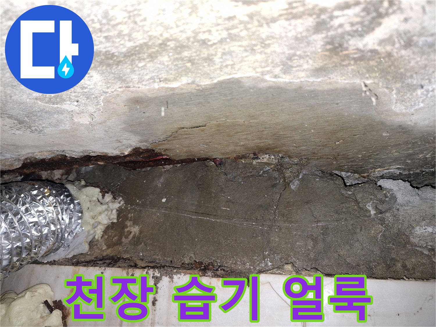 천장 콘크리트 면에 나타난 물샘 흔적과 젖은 부위