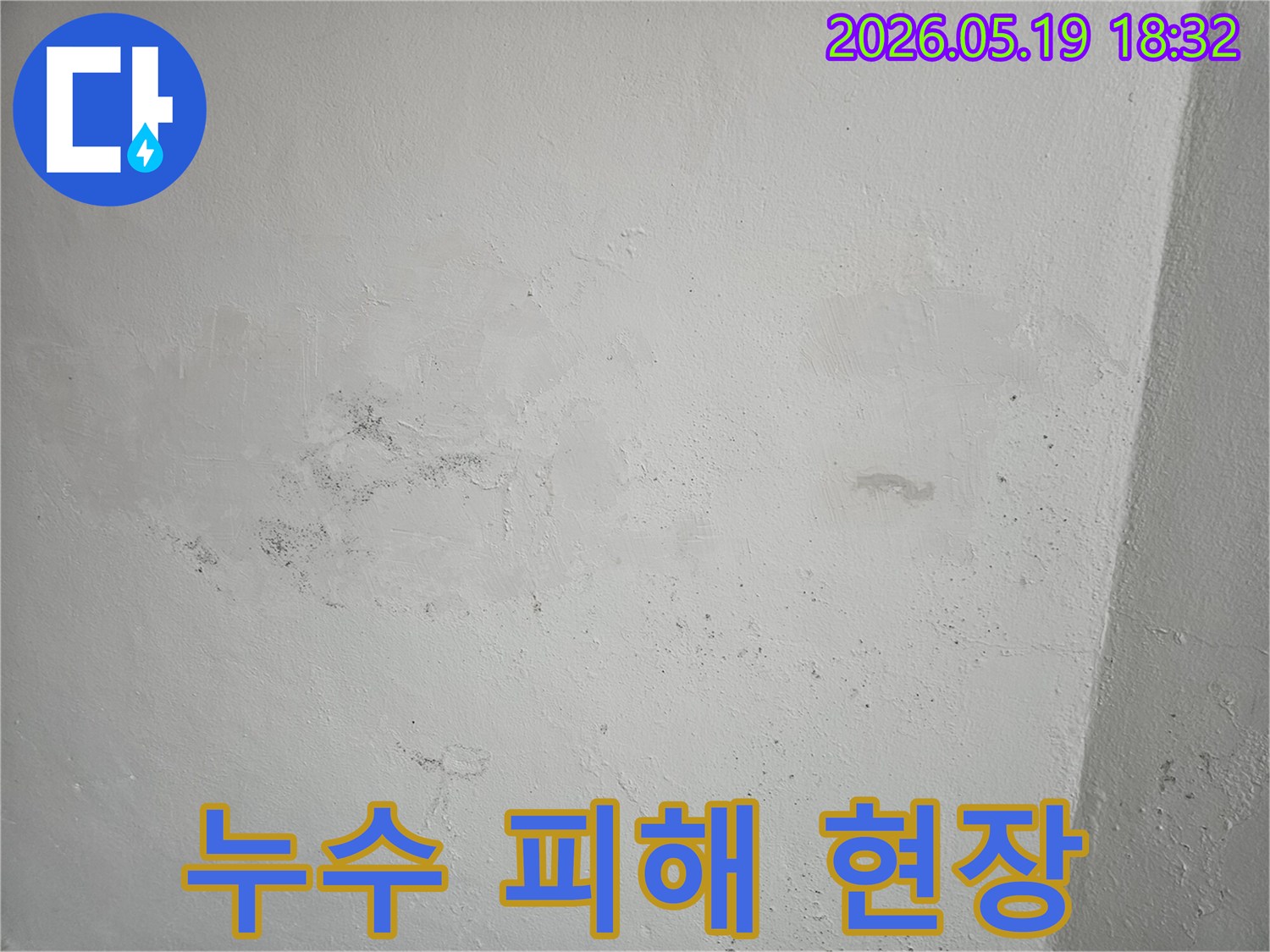 누수로-인해-벽면이-젖고-얼룩진-상태로-곰팡이가-번식하기-시작한-모습