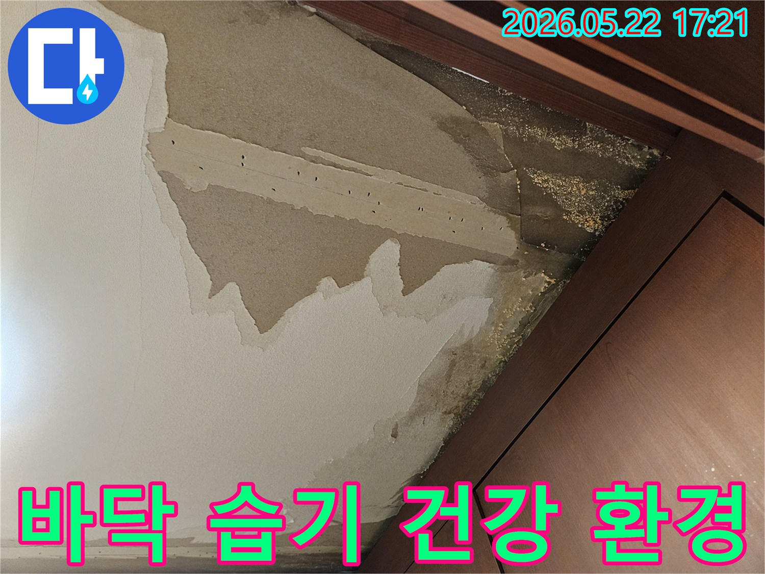 아파트 바닥에 누수로 인해 발생한 심한 습기와-그로 인한 마감재 손상을 보여주며-건강한 주거 환경 조성을 위한 조치가 필요한 현장입니다.
