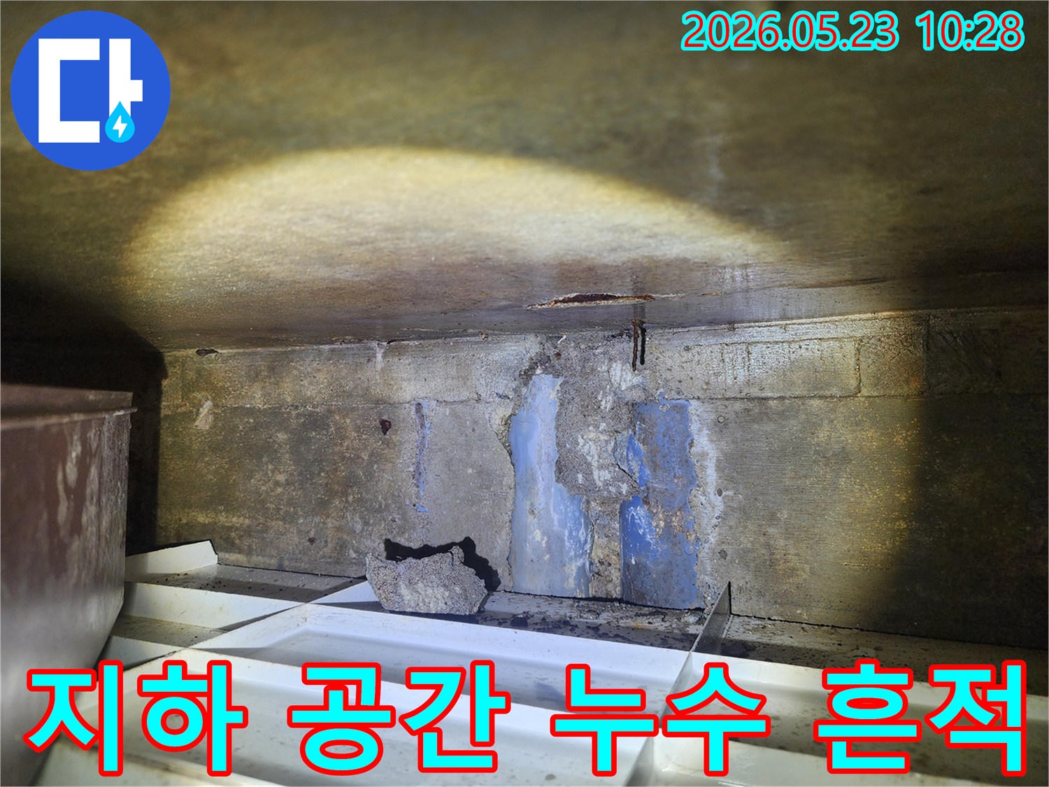 어두운-지하-공간의-천장과-벽면에-물이-새고-있으며-바닥에-물받이가-놓인-누수-현장