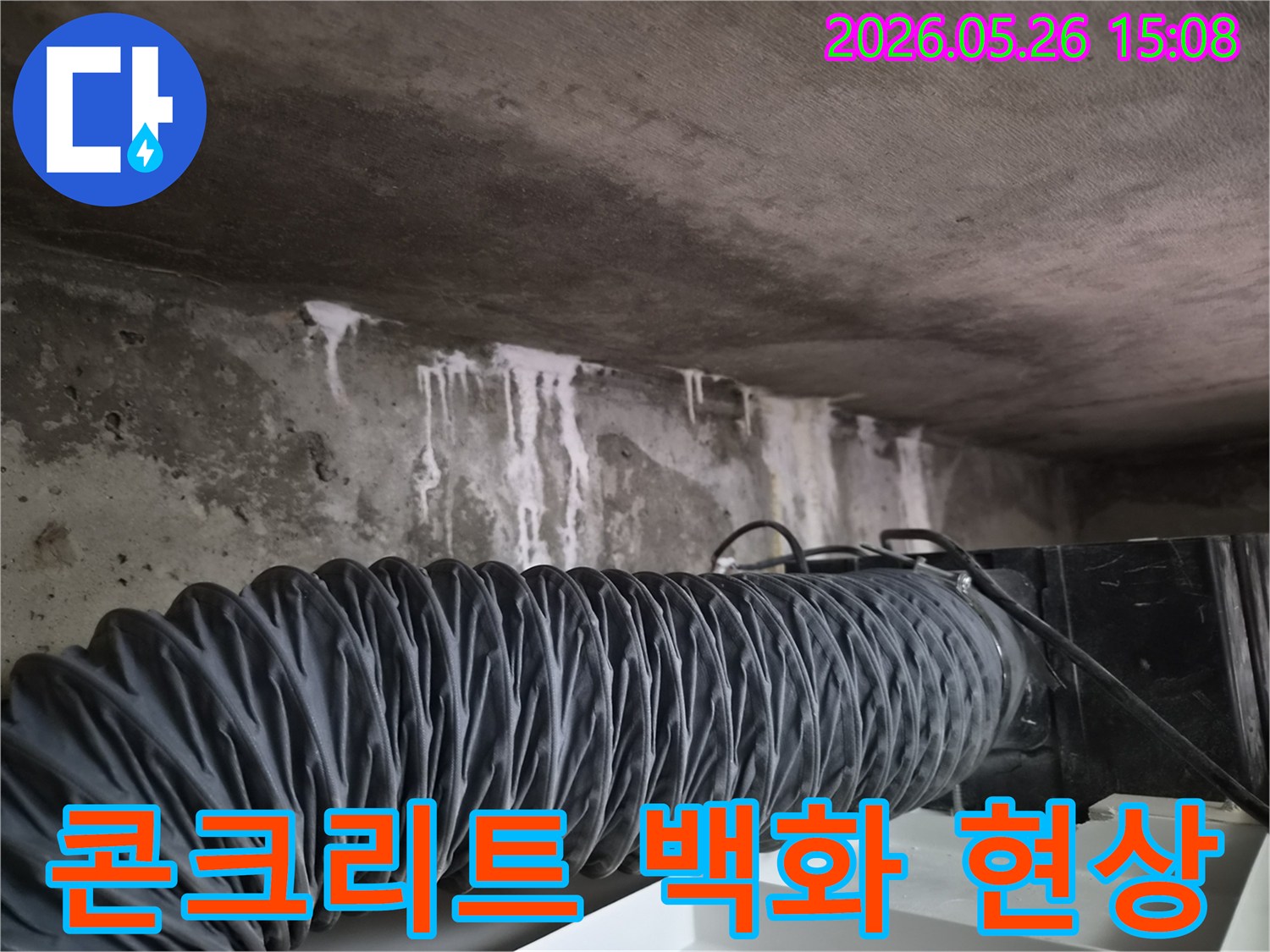 천장-누수로-인해-콘크리트-표면에-생긴-하얀-염분-침전물