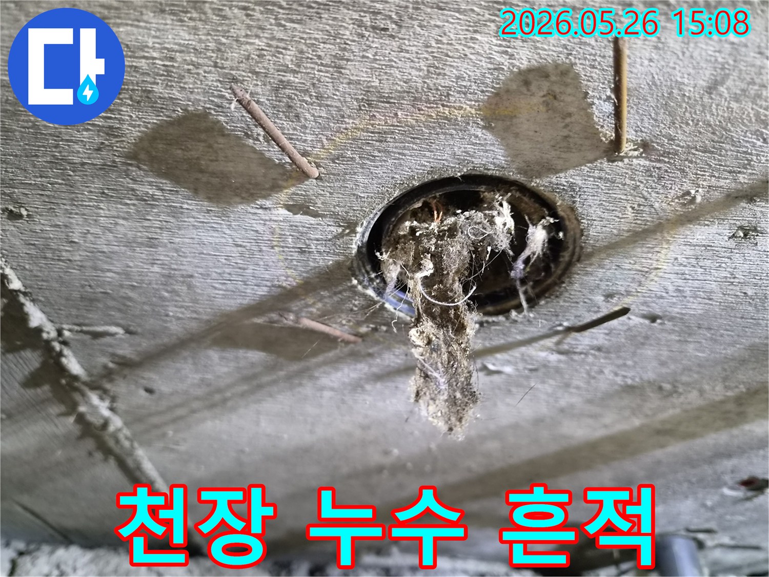 콘크리트 천장 구멍에서-오래된 이물질과-물방울이-맺힌-누수-현장의-상황을-보여주는-사진