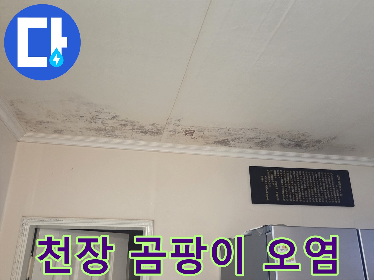 누수로 인해 발생한 천장 부위의 검은 곰팡이와 얼룩