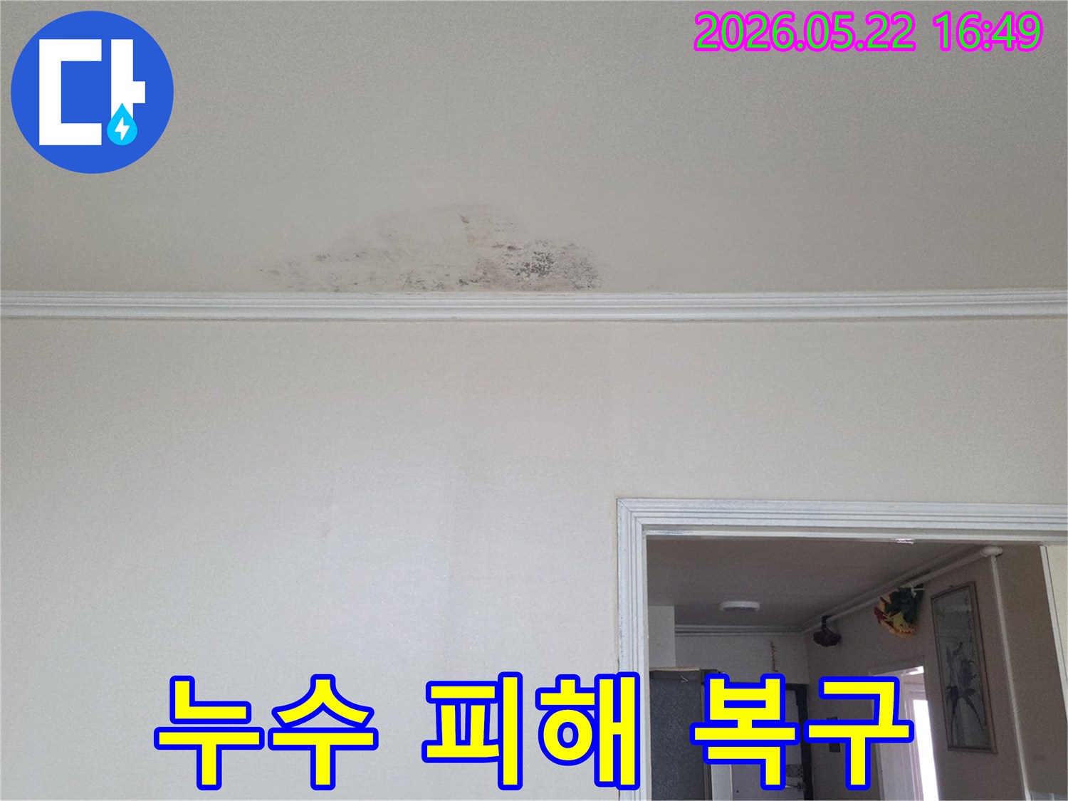 동두천-생연주공아파트-천장에-누수로-인해-생긴-물자국과-곰팡이-피해를-전문적으로-복구하는-모습