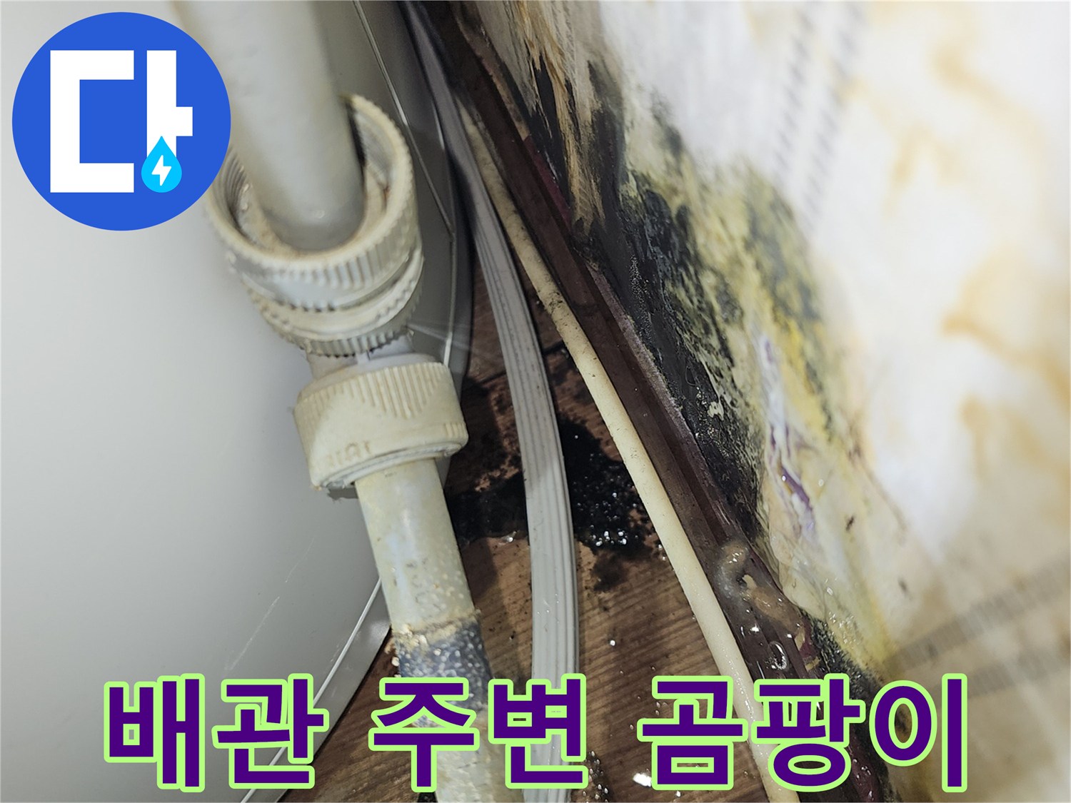 물샘으로 인해 곰팡이가 번진 배관과 천장재