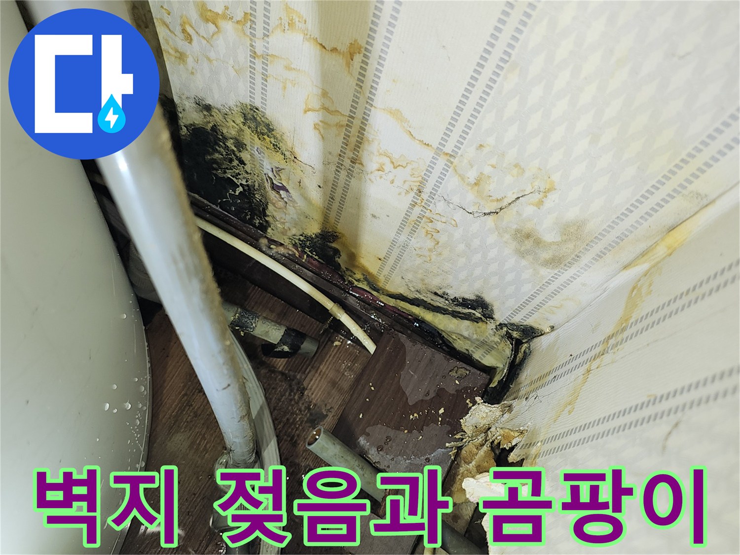 배관-주변의-심한-물샘흔적과-검은색-곰팡이-오염