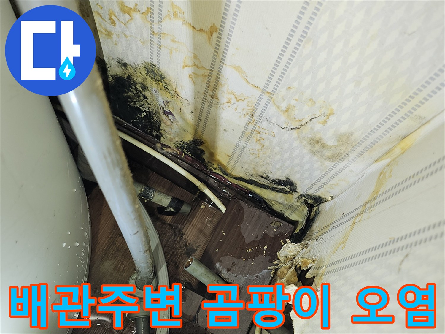 온수기-배관-연결부위의-심한-곰팡이와-벽지-젖음-상태
