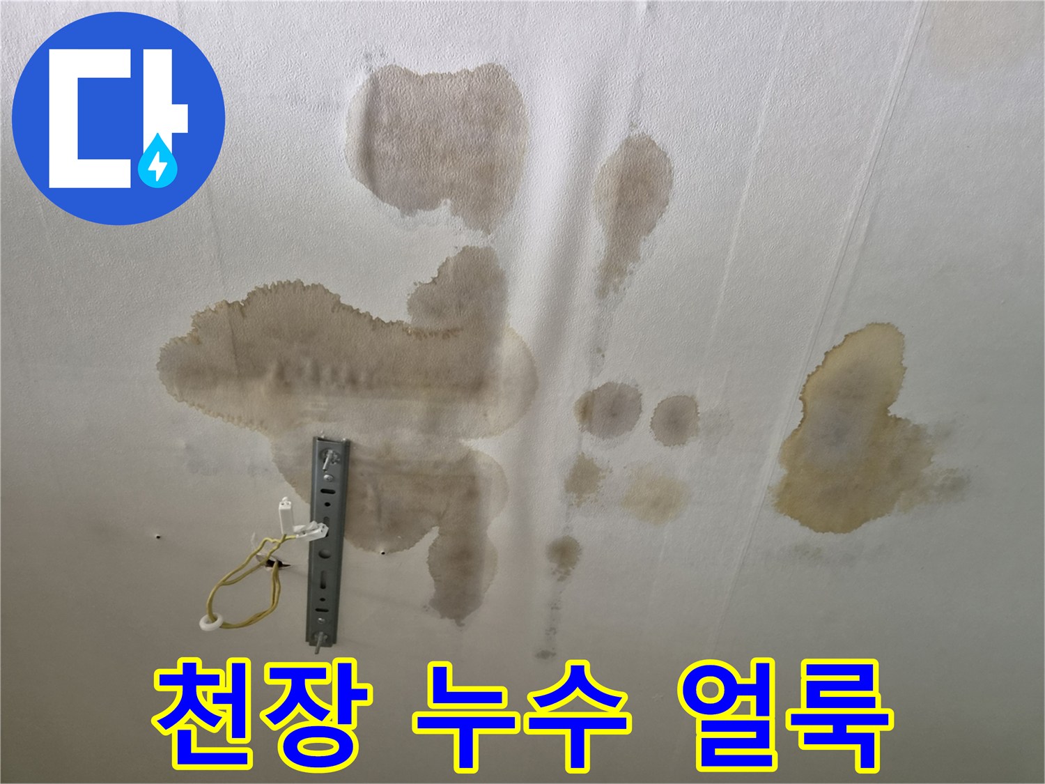 관악구 빌라 천장-물샘 흔적과 전등 배선 부위