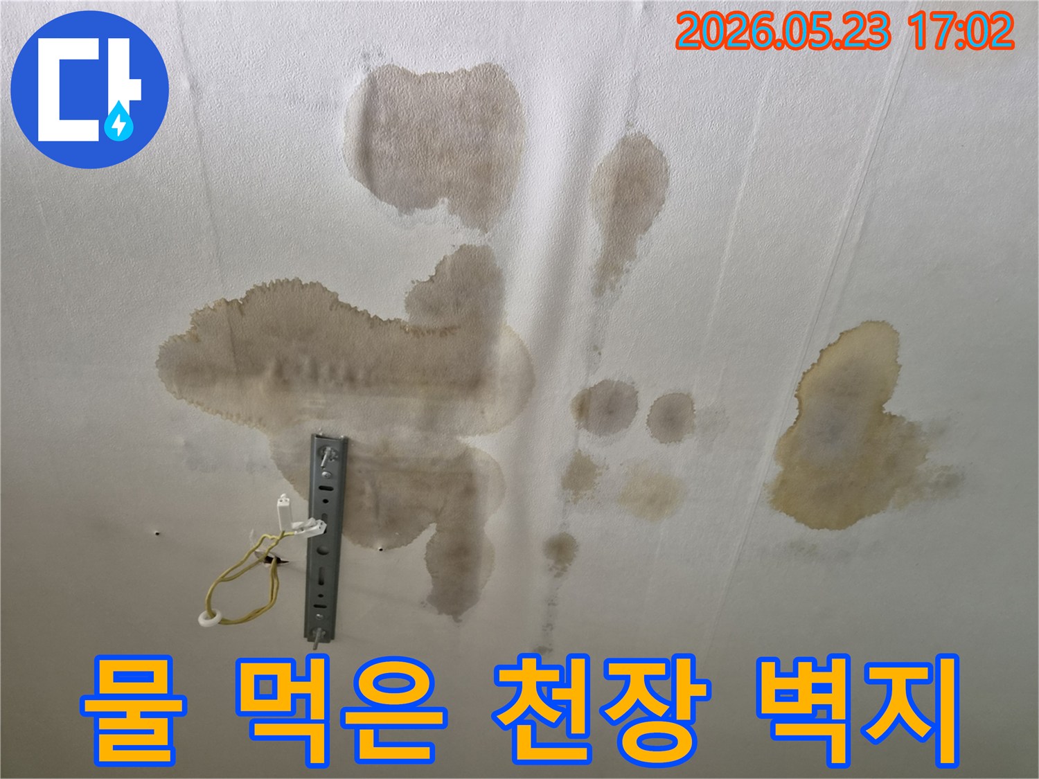 천장에 나타난 광범위한 물 얼룩과 곰팡이-전문적인 누수 진단이 요구됩니다
