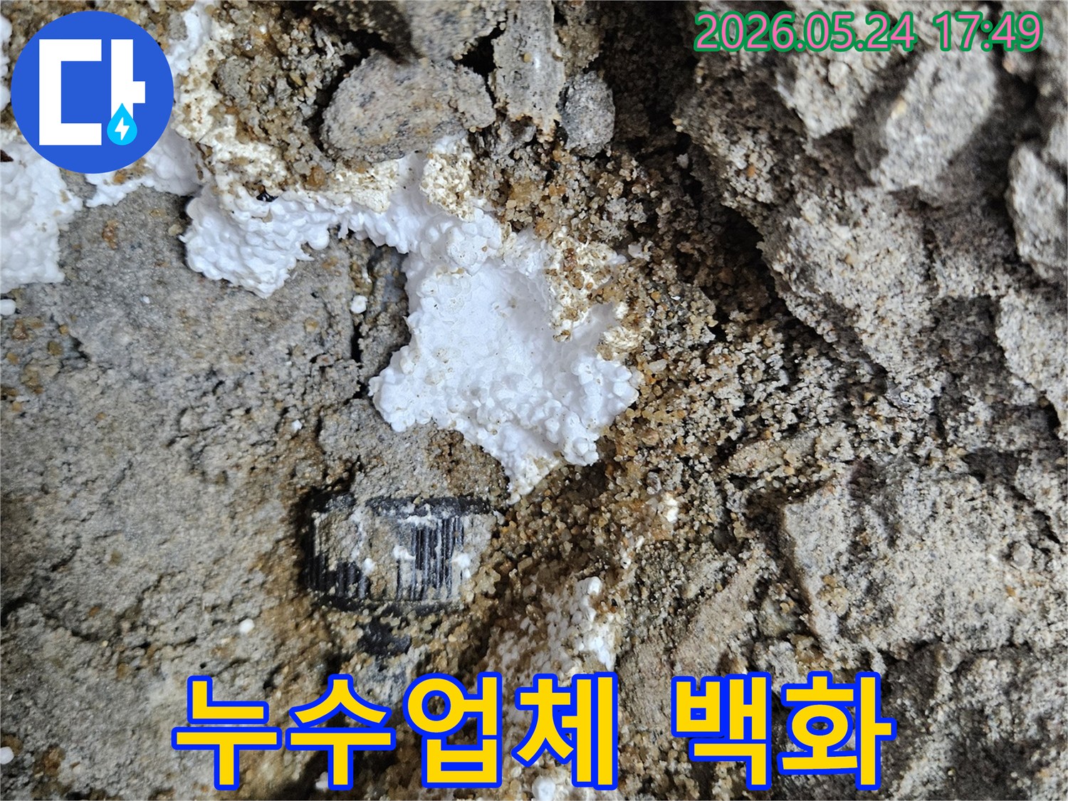 누수탐지-전문업체의-정밀-진단으로-발견된-배관-주변의-백화현상