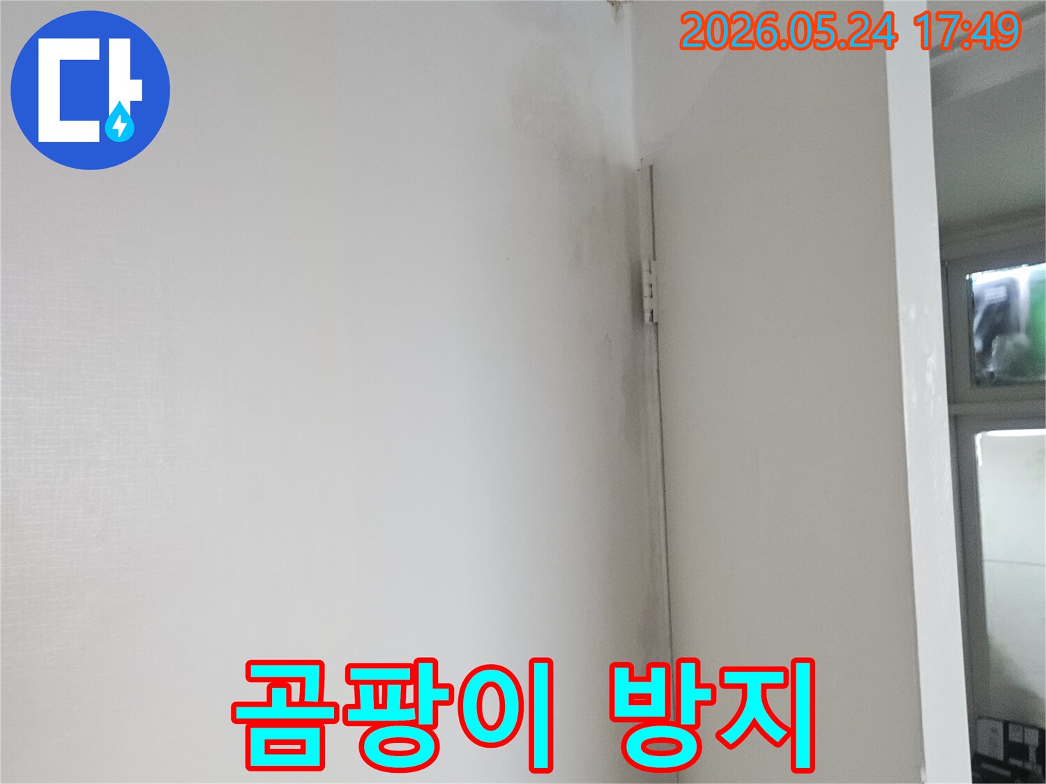천장과 벽이 만나는 모서리 부분에-습기로 인한 곰팡이와 얼룩이 생긴 모습입니다