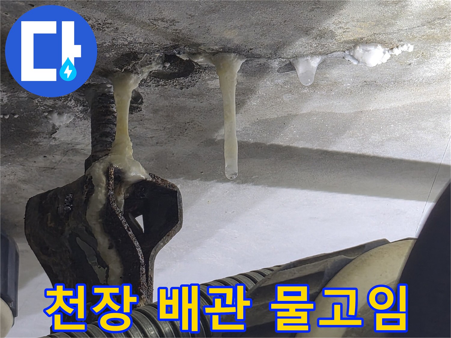 아랫집-화장실-천장-슬라브-배관-주변-물고임-현상
