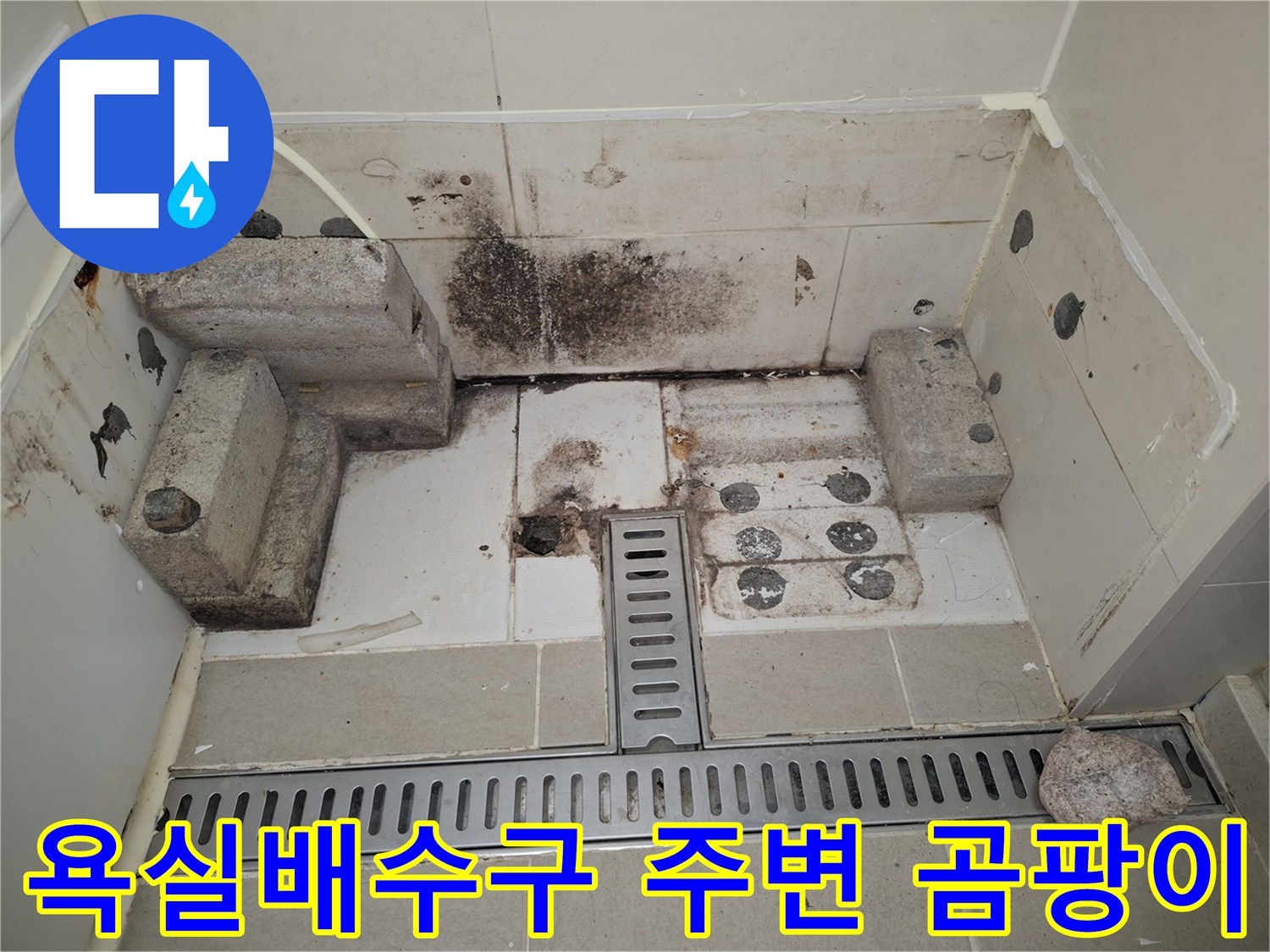 광명시-욕실-배수구-주변-곰팡이와-오염된-타일-상태