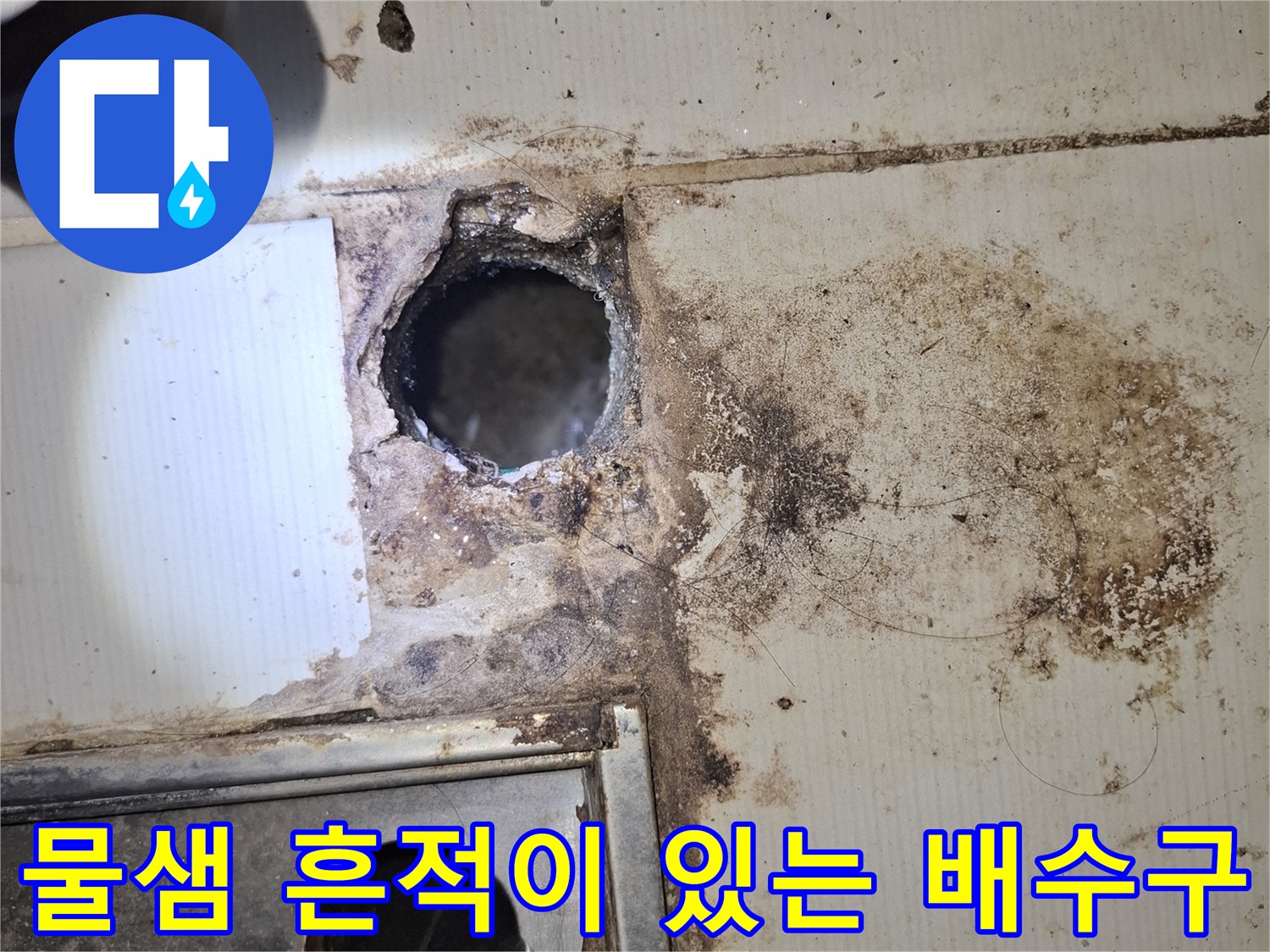 누수로 인해 변색되고 오염된 욕실 배수구 주변 부위