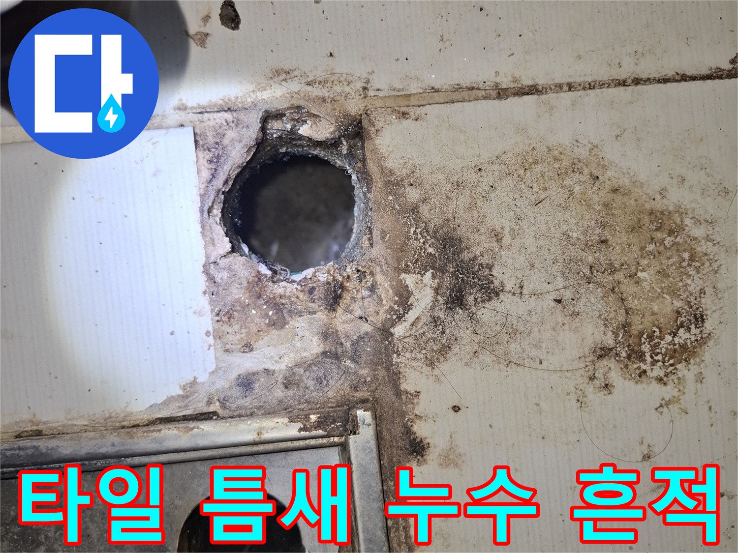 배수구 구멍 주변의 타일 오염과 누수 유입 경로 확인