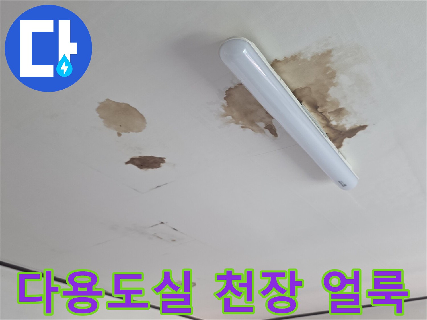 인천 서구 다용도실 천장의 누수 흔적과 젖은 얼룩 상태