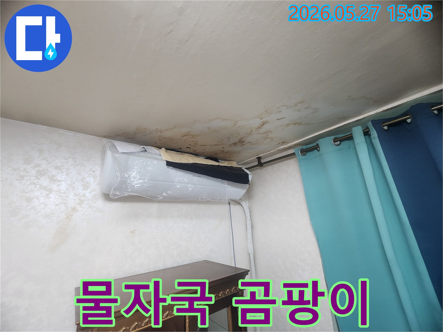 누수 전문가가 확인한-천장 곰팡이와 물자국-긴급 보수가 필요한 상황