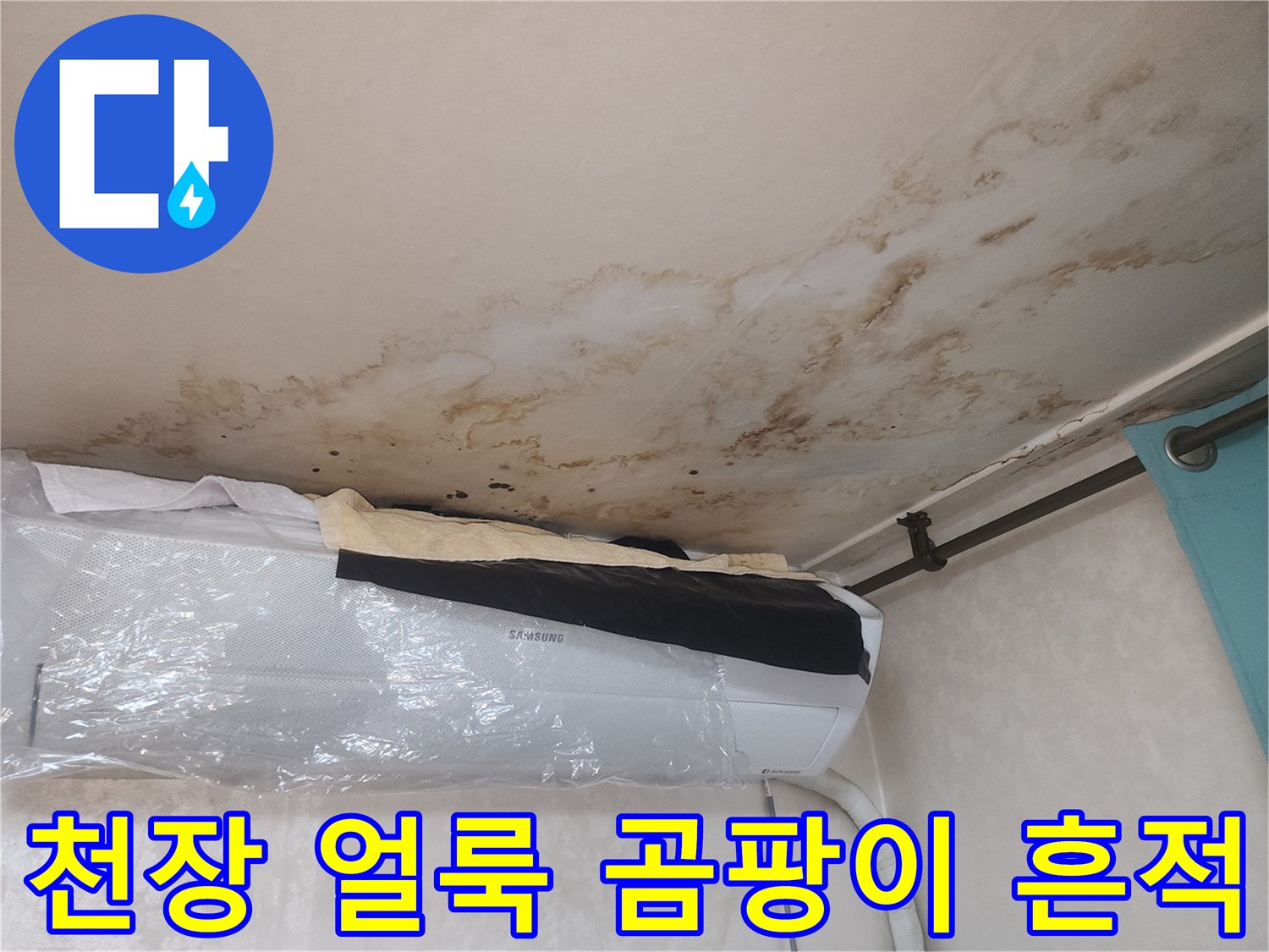 아파트 거실 천장에 발생한 넓은 범위의 물자국과 곰팡이 흔적