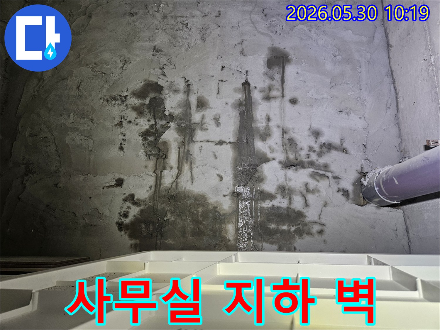 사무실 지하 벽면에서-물이 새어 나와-축축하게 젖고-변색된-누수 현장