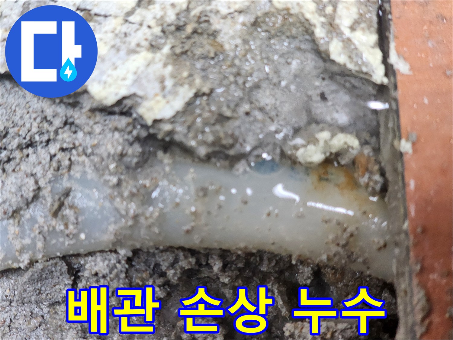 누수-전문가가-발견한-배관-손상으로-인한-누수-현장입니다