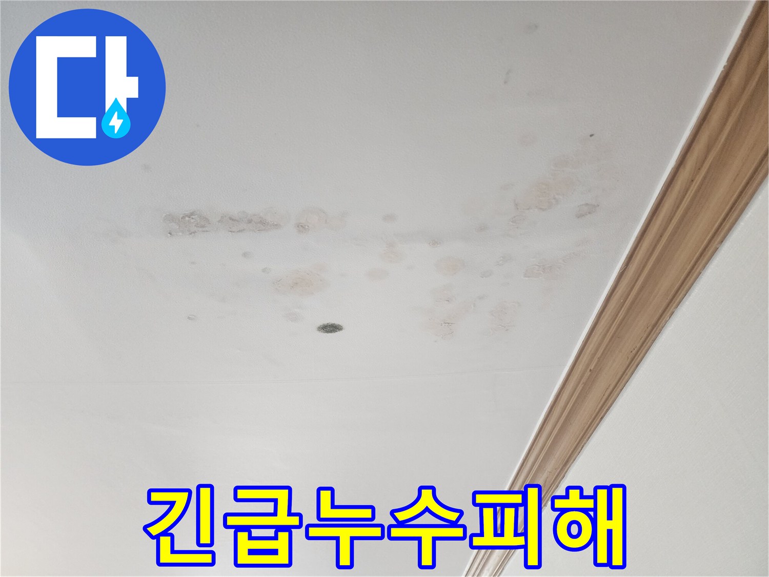 물샘으로 생긴-얼룩이-천장 전체에-퍼져있는-상황입니다.