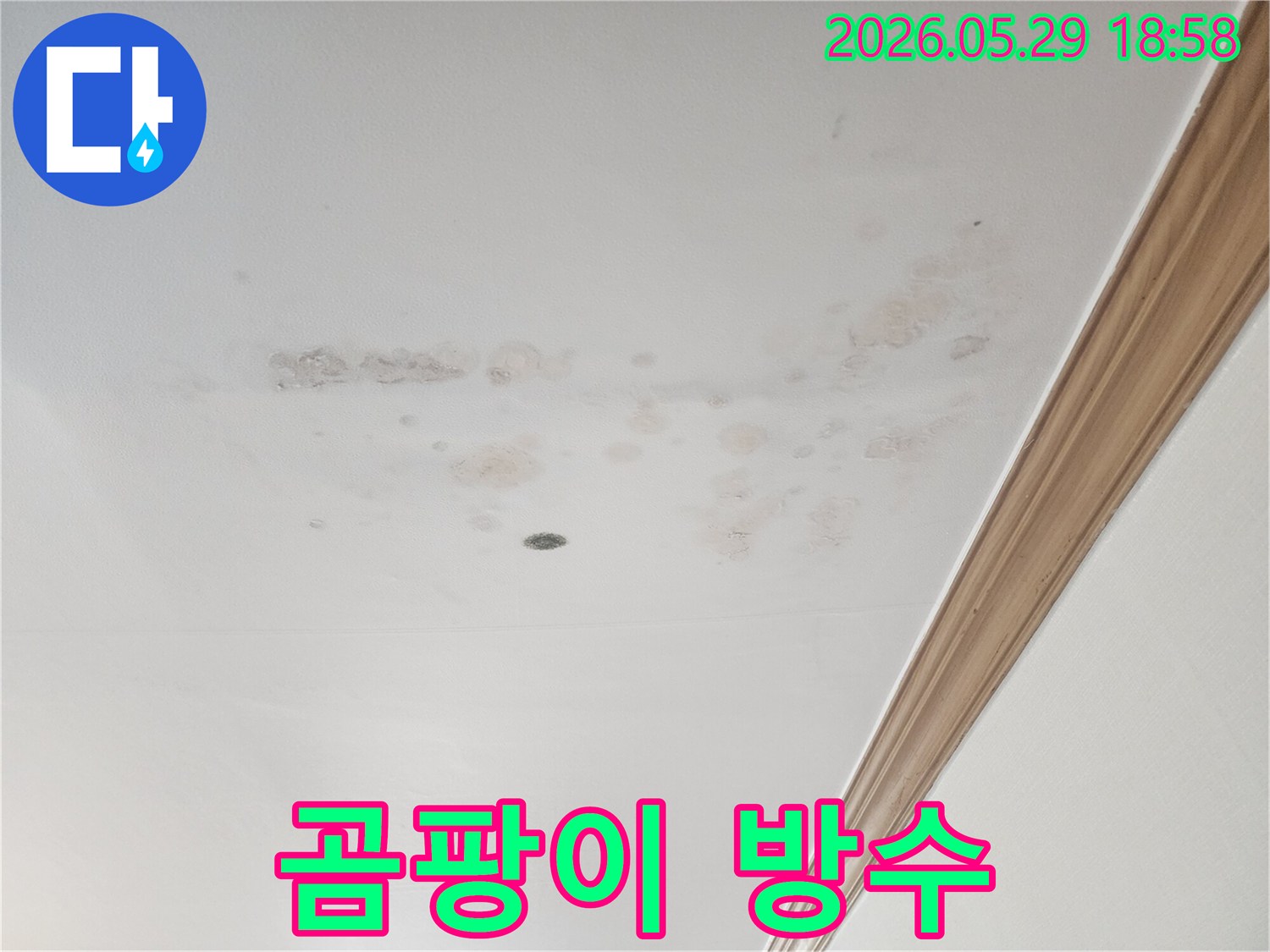 아파트-천장에-발생한-누수로-인한-곰팡이-및-오염-현상입니다.