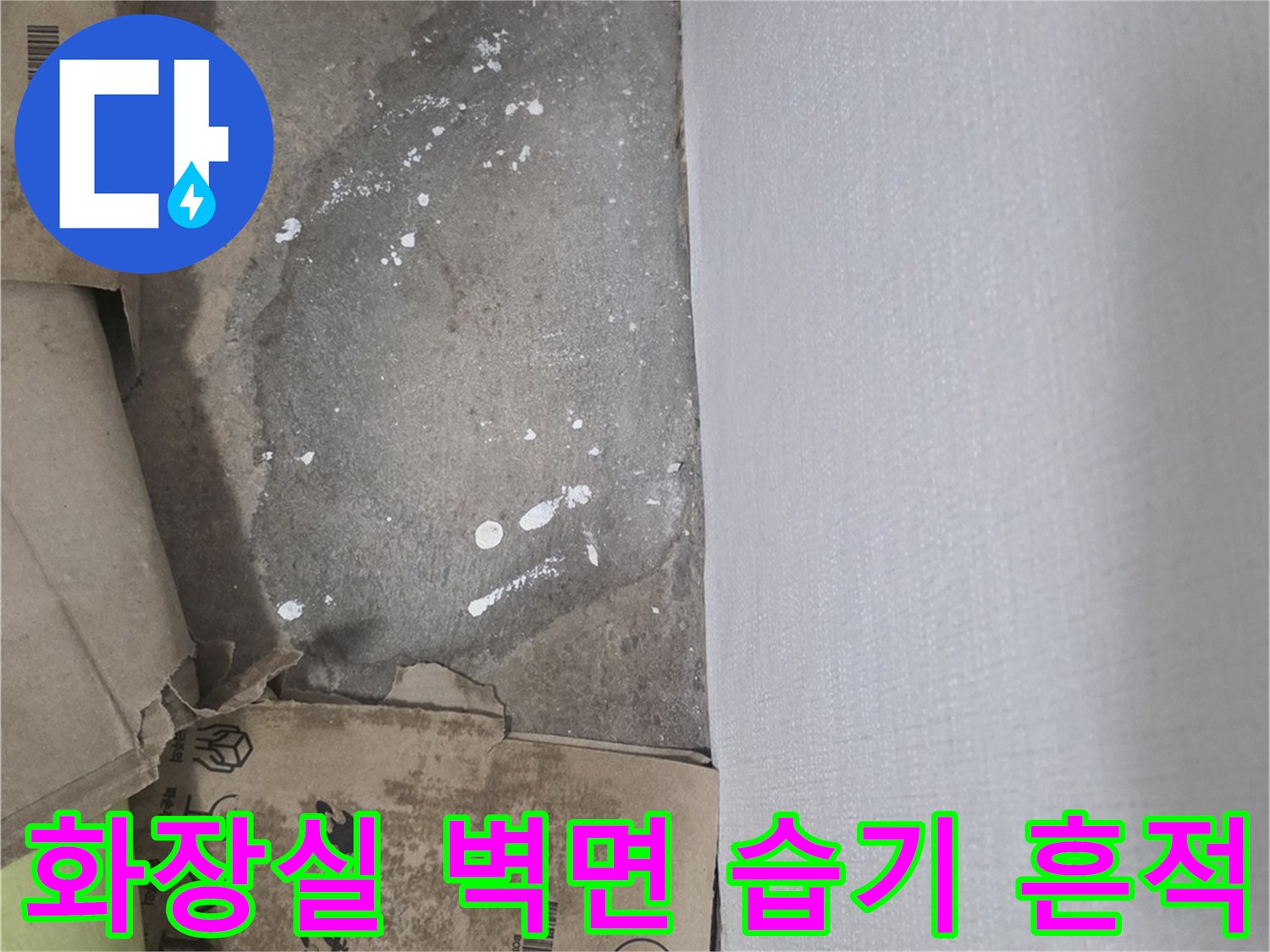 상계동 아파트 화장실 벽면 아래쪽의 물샘 자국과 얼룩