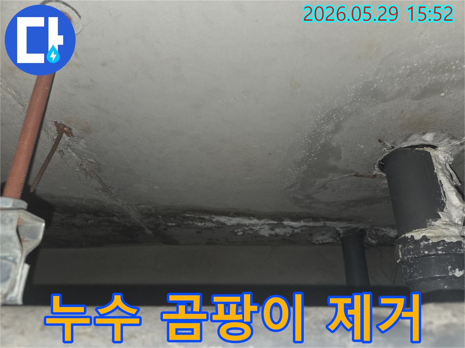 천장 콘크리트에 물이 새어 발생한-어두운 곰팡이 흔적을 보여주며-전문적인 제거 및 소독의 필요성 강조