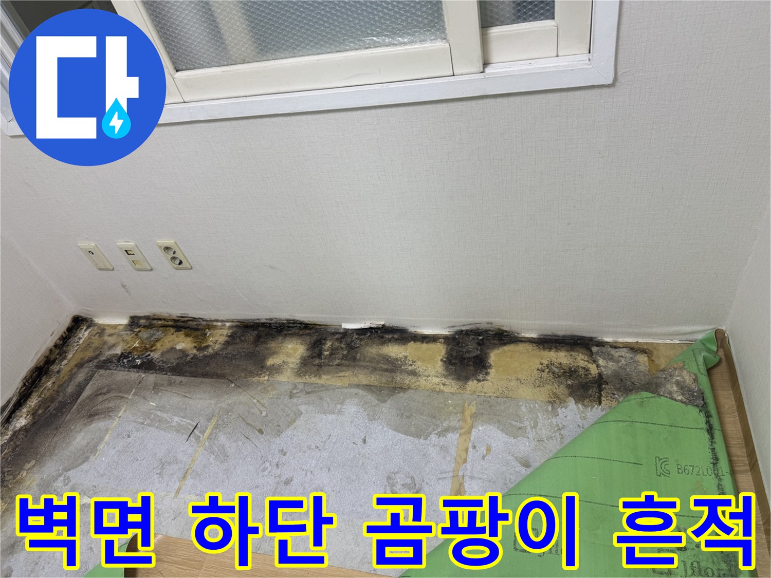 송파구 아파트 벽면 하단부-곰팡이와 습기 흔적이 발견된 상태입니다