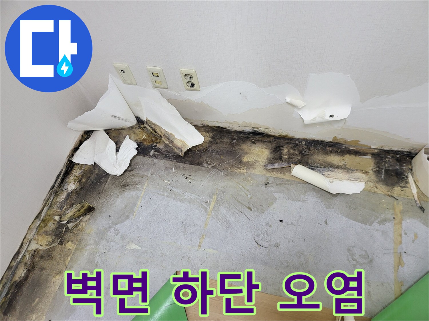 콘센트 주변과 벽면 하단부의 곰팡이 및 훼손된 벽지 모습